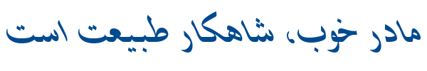 شیراز ایتالیک - B Shiraz Italic