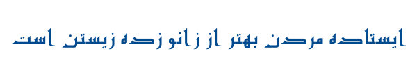 مشفق توپر - Mj Moshfegh Bold